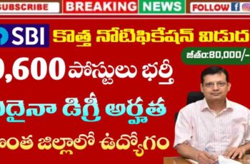 SBI Recruitment 2024 | SBI Notification 2024