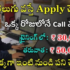 Nxtwave Recruitment 2024 | Work From Home Jobs | Free Jobs Information