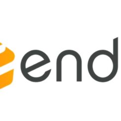 Endo India Par Formulations – Walk-In Interviews for Manufacturing / Packing / QC-Micro / Engineering on 19th Jan’ 2025