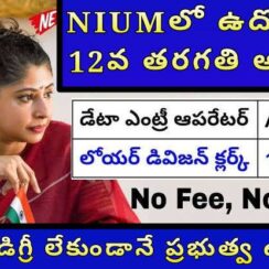 🔔 12వ తరగతి అర్హతతో NIUMలో ఉద్యోగాలు | 🖥️ డేటా ఎంట్రీ ఆపరేటర్ & 🗃️ లోయర్ డివిజన్ క్లర్క్ జాబ్స్ – 2025 🇮🇳
