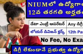 🔔 12వ తరగతి అర్హతతో NIUMలో ఉద్యోగాలు | 🖥️ డేటా ఎంట్రీ ఆపరేటర్ & 🗃️ లోయర్ డివిజన్ క్లర్క్ జాబ్స్ – 2025 🇮🇳