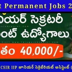 📢 ఇంటర్ అర్హతతో CSIR IIP జూనియర్ సెక్రెటేరియట్ అసిస్టెంట్ (JSA) ఉద్యోగాలు – Govt Permanent Jobs 2025
