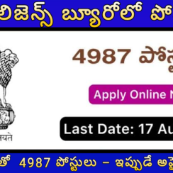 🕵️ 10th పాస్ తో ఇంటెలిజెన్స్ బ్యూరోలో 4987 పోస్టులు – ఇప్పుడే అప్లై చేయండి!