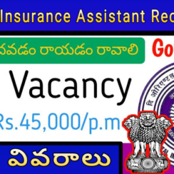 💼 Oriental Insurance Assistant Recruitment 2025 | ఓరియంటల్ ఇన్సూరెన్స్ అసిస్టెంట్ 500 ఉద్యోగాలు | పూర్తి వివరాలు తెలుగులో
