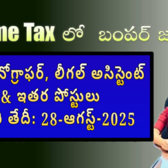 🏛️ ఇన్కమ్ ట్యాక్స్ డిపార్ట్‌మెంట్ రిక్రూట్‌మెంట్ 2025 – 386 స్టెనోగ్రాఫర్, లీగల్ అసిస్టెంట్ & ఇతర పోస్టులు | చివరి తేదీ: 28-ఆగస్ట్-2025