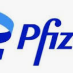 “Pfizer Walk-In 2026 | Multiple Job Openings | 4th Jan Hiring Drive”