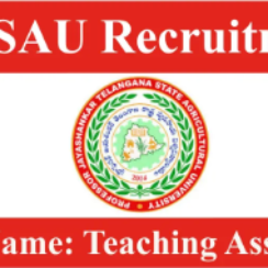 Teaching Associate 1 పోస్టు | PJTSAU Walk-in Interview 2025 – వెంటనే అప్లై