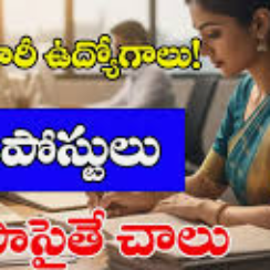 DSSSB MTS నియామకాలు 2025 | 714 మల్టీ టాస్కింగ్ స్టాఫ్ ప్రభుత్వ ఉద్యోగాలు | 10వ తరగతి అర్హత