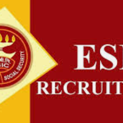 SBI Specialist Cadre Officers Recruitment 2026: 1146 ఖాళీలు | Apply Online