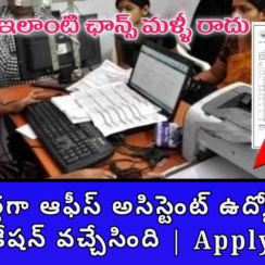 కొత్తగా ఆఫీస్ అసిస్టెంట్ ఉద్యోగ నోటిఫికేషన్ వచ్చేసింది | Apply Now