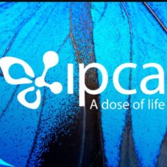 Ipca Laboratories Walk-In Drive 2026 – API, Quality & Engineering Roles