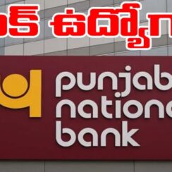 PNB Bank Jobs 2026 – పరీక్ష లేకుండా పంజాబ్ నేషనల్ బ్యాంక్ లో ఉద్యోగాలు