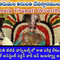 🛕 తిరుమల తిరుపతి టిటిడి హాస్పిటల్స్‌లో రాత పరీక్ష లేకుండా ఉద్యోగాలు 2026 | సివిల్ అసిస్టెంట్ సర్జన్ వాక్-ఇన్ ఇంటర్వ్యూ అవకాశం 👨‍⚕️💼