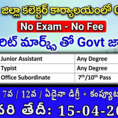 🏛️ AP Collector Office Recruitment 2026: 5వ, 7వ, 12వ, ఏదైనా డిగ్రీ పాస్ – వెంటనే దరఖాస్తు!