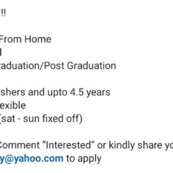 Work From Home Jobs 2026: Urgent Hiring for Freshers & Experienced (Upto 65k Salary)