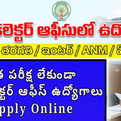 🏛️ AP Collector Office Jobs 2026 | రాత పరీక్ష లేకుండా జిల్లా కలెక్టర్ ఆఫీస్ ఉద్యోగాలు – Apply Online ✅ 🏛️ AP Collector Office Jobs 2026 | రాత పరీక్ష లేకుండా జిల్లా కలెక్టర్ ఆఫీస్ ఉద్యోగాలు – Apply Online ✅