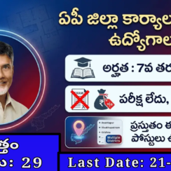 🔥 AP Collector Office Jobs 2026 | Group 4 Backlog పోస్టులు | 7th/డిగ్రీ అర్హత 🔥 AP Collector Office Jobs 2026 | Group 4 Backlog పోస్టులు | 7th/డిగ్రీ అర్హత