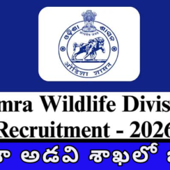 🌿 ఓడిశా అడవి శాఖలో జాబ్స్ 🌿 | Bamra Wildlife 2026 | Walk-in Interview 🚨