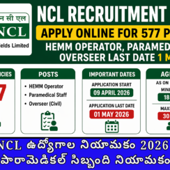 NCL ఉద్యోగాల నియామకం 2026 | NCL పారామెడికల్ సిబ్బంది నియామకం 2026
