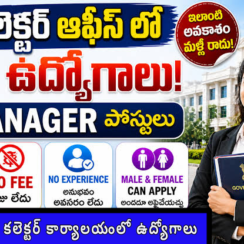 🏛️ తిరుపతి జిల్లా కలెక్టర్ కార్యాలయంలో ఉద్యోగాలు – నో ఫీజు 🏛️