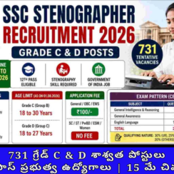 SSC స్టెనోగ్రాఫర్ రిక్రూట్‌మెంట్ 2026 | 731 గ్రేడ్ C & D శాశ్వత పోస్టులు | 12వ పాస్ ప్రభుత్వ ఉద్యోగాలు | 15 మే చివరి తేదీ