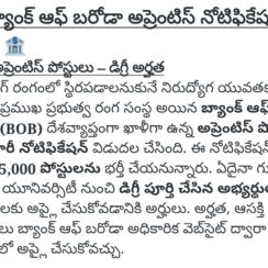 Bank of Baroda Apprentice Recruitment 2026 | 5000 Posts | Degree Eligible | Apply Online Before 8 June | AP & TS