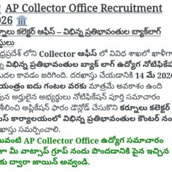 AP Collector Office Recruitment 2026 | Kurnool | Office Subordinate, Junior Assistant | Differently Abled Backlog | Last Date 14 May