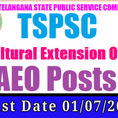 TS District Agriculture AEO Recruitment 2026 | 03 AEO Jobs Jangaon | B.Sc Agriculture, Diploma | Apply Offline by 01 July