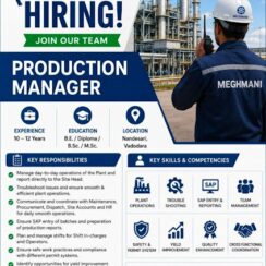Meghmani Group Hiring For Production Department