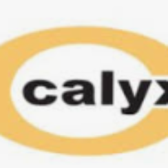 Calyx Pharma Walk-In Interview 2026 | Production Officer – API