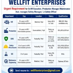 Wellfit Enterprises Urgent Recruitment | June 2026 | Production QC QA Warehouse HR EHS Accounts | Hyderabad