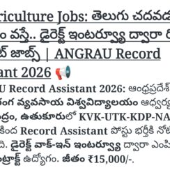 ANGRAU Record Assistant Notification 2026 | KVK Utukur Walk In Interview | Rs 15000 Salary | 10 July