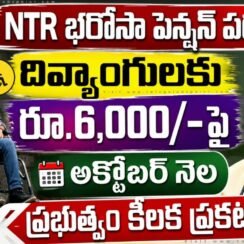 దివ్యాంగ విద్యార్థులకు శుభవార్త.. అక్టోబర్ నెల నుంచి వారికి ఎలా కావాలనుకుంటే అలా పెన్షన్