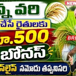 సన్న వరి సాగు రైతులకు శుభవార్త.. రూ.500 బోనస్ ఆన్లైన్లో తప్పనిసరిగా నమోదు చేసుకోండి