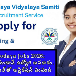 Navodaya Jobs 2026: పరీక్ష లేకుండానే ఉద్యోగ అవకాశం.. ఈమెయిల్‌తో అప్లికేషన్ పంపండి