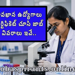 Telangana Health Department Jobs 2026 | Lab Technician Senior Lab Supervisor | Hanumakonda | Last Date 24 Aug