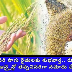 సన్న వరి సాగు రైతులకు శుభవార్త.. రూ.500 బోనస్ ఆన్లైన్లో తప్పనిసరిగా నమోదు చేసుకోండి