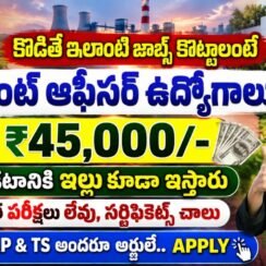 విద్యుత్ శాఖలో NTPCలో 15 అసిస్టెంట్ ఉద్యోగాలు.. ఏదైనా డిగ్రీ అర్హతతో అప్లై చేయండి