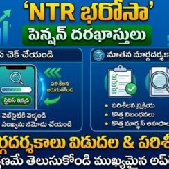 NTR పెన్షన్ దరఖాస్తులు స్టేటస్ | NTR Bharosa Pensions Status Check