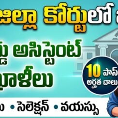 ఏపీ జిల్లా కోర్టులో జాబ్స్ | AP District Court Record Assistant Jobs 2026