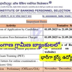 Bank Jobs : ప్రాంతీయ గ్రామీణ బ్యాంకులో క్లర్క్ ఉద్యోగ నోటిఫికేషన్ వచ్చేసింది