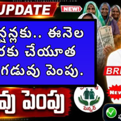 కొత్త పెన్షన్లకు.. ఈనెల 15 వరకు చేయూత పెన్షన్ల గడువు పెంపు.. Cheyutha Pension Scheme 2026 Last Extended »