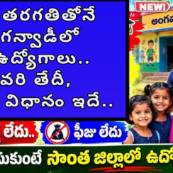10వ తరగతితోనే అంగన్వాడీలో 70 ఉద్యోగాలు.. చివరి తేదీ, ఎంపిక విధానం ఇదే.. »