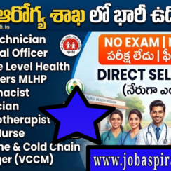 నారాయణపేట జిల్లా వైద్య ఆరోగ్య శాఖ 12 పోస్టులు GNM BSc MBBS BAMS రాత పరీక్ష లేకుండా 27300-72850 Last Date Oct 11