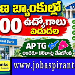 Bank of Baroda BOB 1100 Wealth Executive Credit Analyst Jobs 2026 Telugu