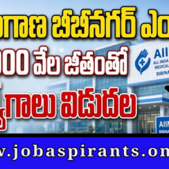 AIIMS Bibinagar Consultant Audit Jobs 2026
